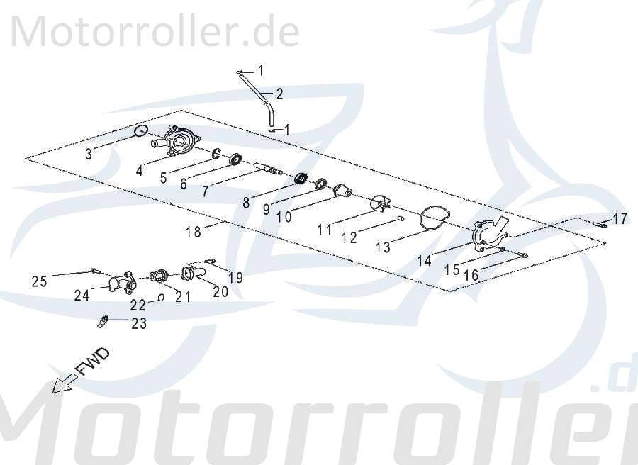O-Ring 29 x 2 Dichtung AEO-93210-02920