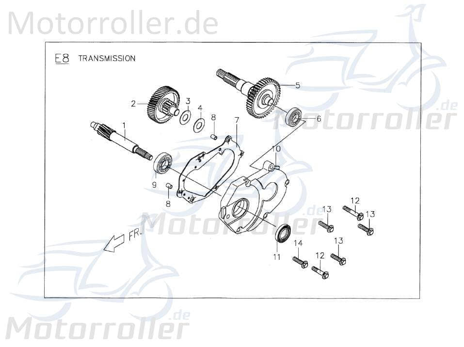 PGO Leerlaufzahnrad T-Rex 110 Leerlaufritzel 110ccm 2Takt Motorroller.de PGO 110ccm-2Takt Scooter Ersatzteil Service Inpektion Direktimport
