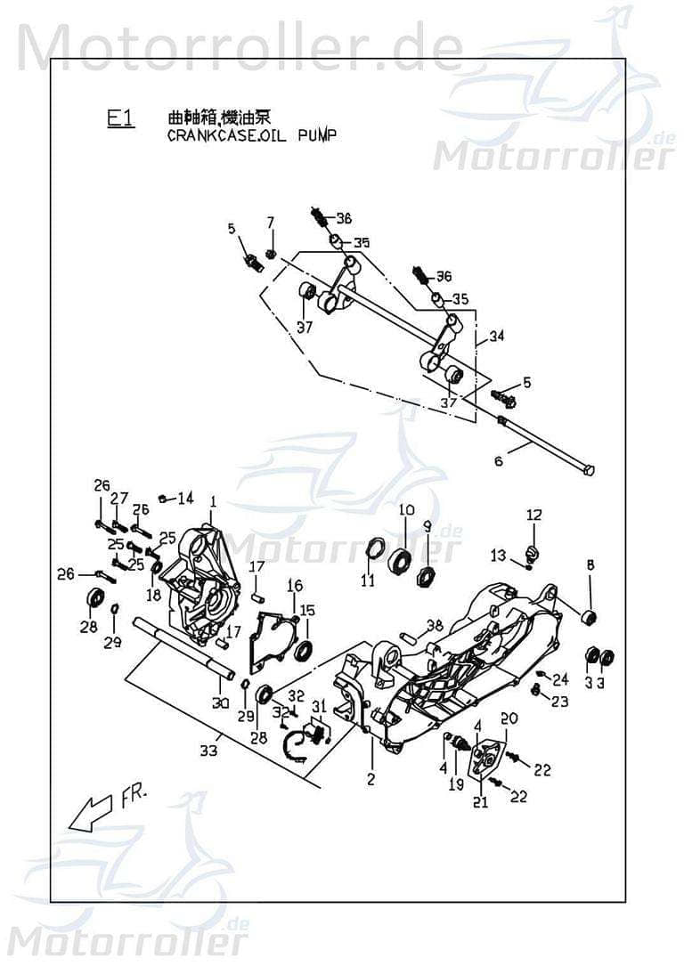 PGO Anlasser 50ccm-2Takt TR3 50 Mofa Starter Anlasser-Motor E1241001000 Motorroller.de Elektrostarter E-Starter Anlassermotor Elektro-Starter Service