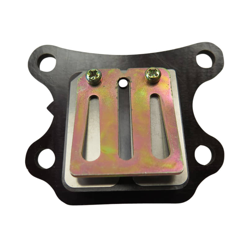 PGO Membran Klappenventil Star 50 Vergaser Roller 50ccm 2Takt Motorroller.de PGO 50ccm-2Takt Scooter Star 50 2 Ersatzteil Service Inpektion