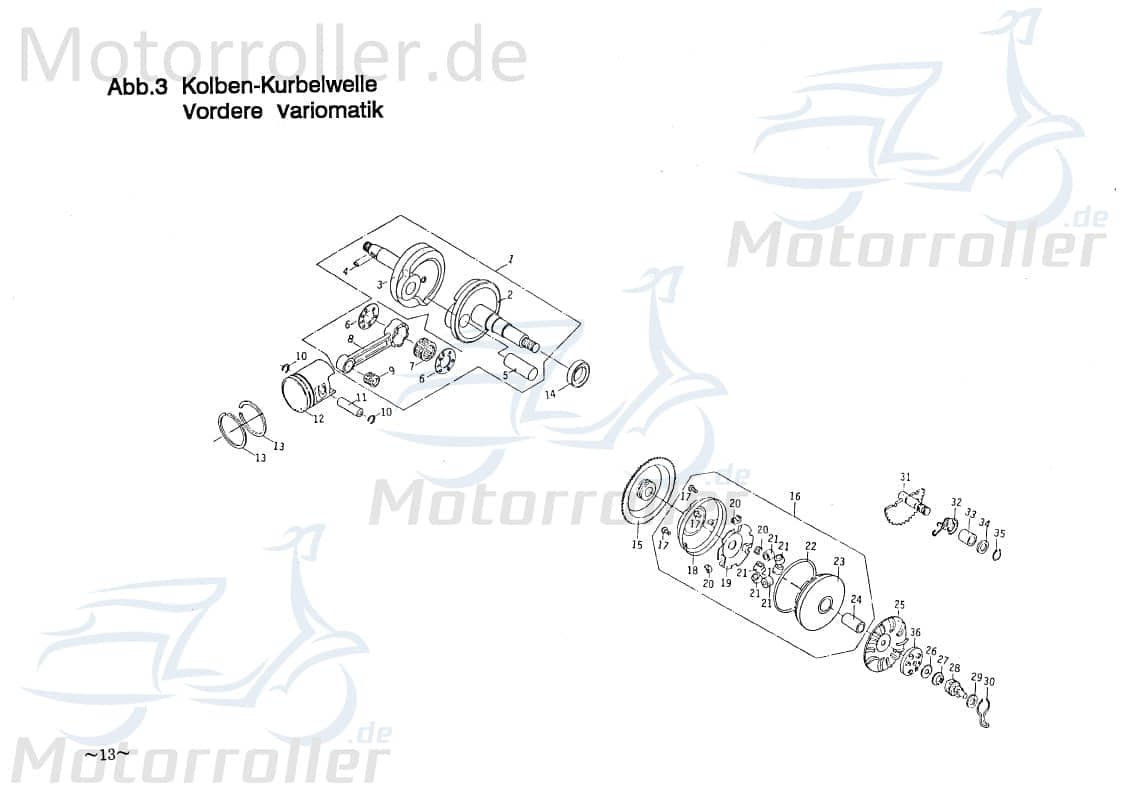PGO Kolben 50ccm-2Takt Galaxy 50 Piston Motorkolben Roller B2E10601309 Motorroller.de PGO 50ccm-2Takt Comet 50 Mokick Ersatzteil Service Inpektion
