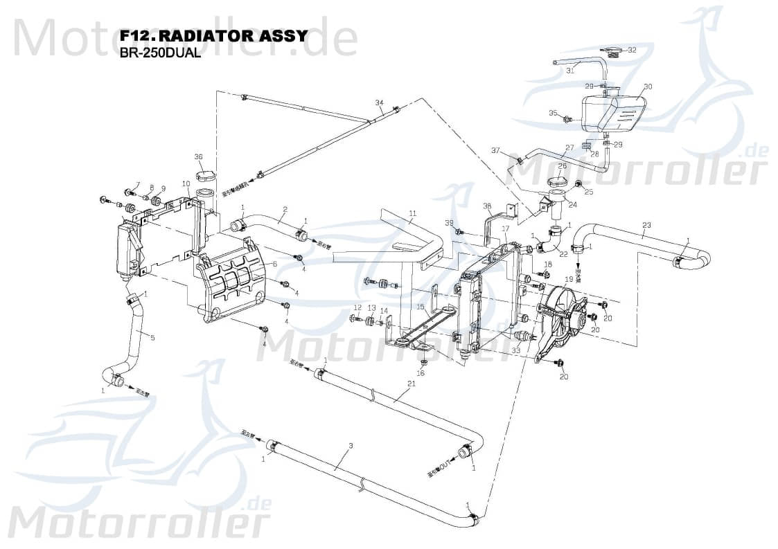 Wasserschlauch B75013600000 von PGO