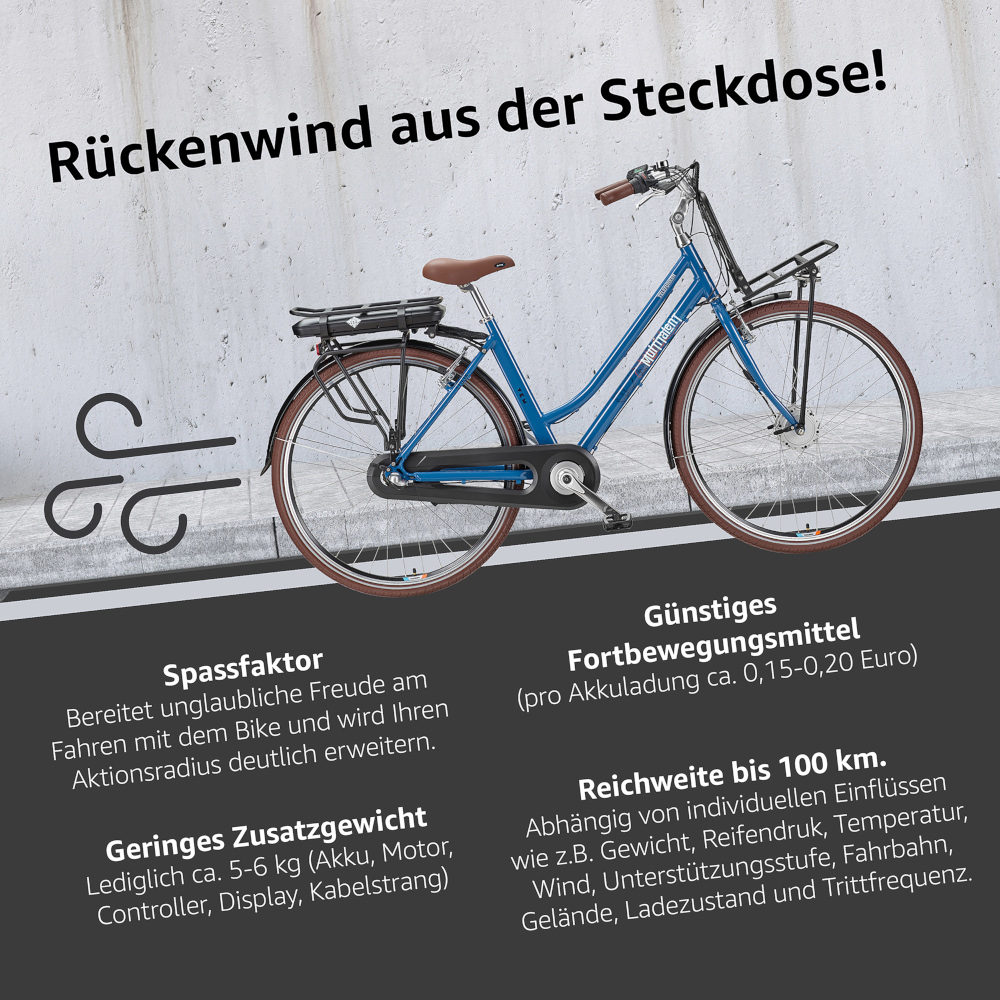 E-Bike Telefunken RT530 Multitalent Elektrofahrrad City-Pedelec blau 28" RH 50cm E-Fahrrad Citybike