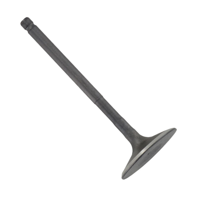 Einlassventil von PGO C70713000000