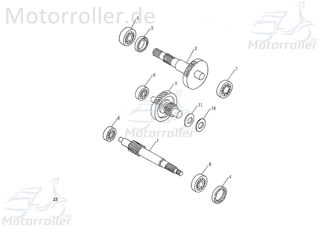 SMC Extra 50 Off Road Tellerscheibe 50ccm 2Takt 97201-142910 Motorroller.de Druckscheibe Federunterlagsscheibe Minarelli liegend Extra 50 Sport 50kmh