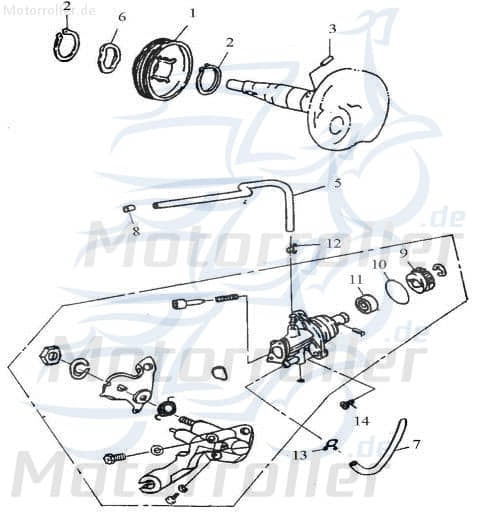 Adly Ölpumpe Thunder Bike TB 100 Öl-Pumpe Roller 100ccm 2Takt Motorroller.de Oil-Pump Oil-Pumpe Oilpumpe Minarelli liegend Scooter Ersatzteil Service