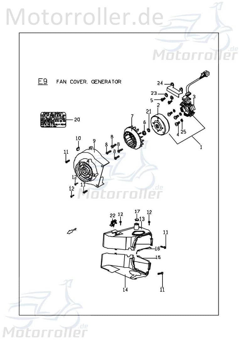 PGO Lichtmaschine DC8 8 Spulen Bugxter 150 150ccm 4Takt C5221001000-8 Motorroller.de Stator Ankerplatte Anker-Platte Stromerzeuger Strom-Generator