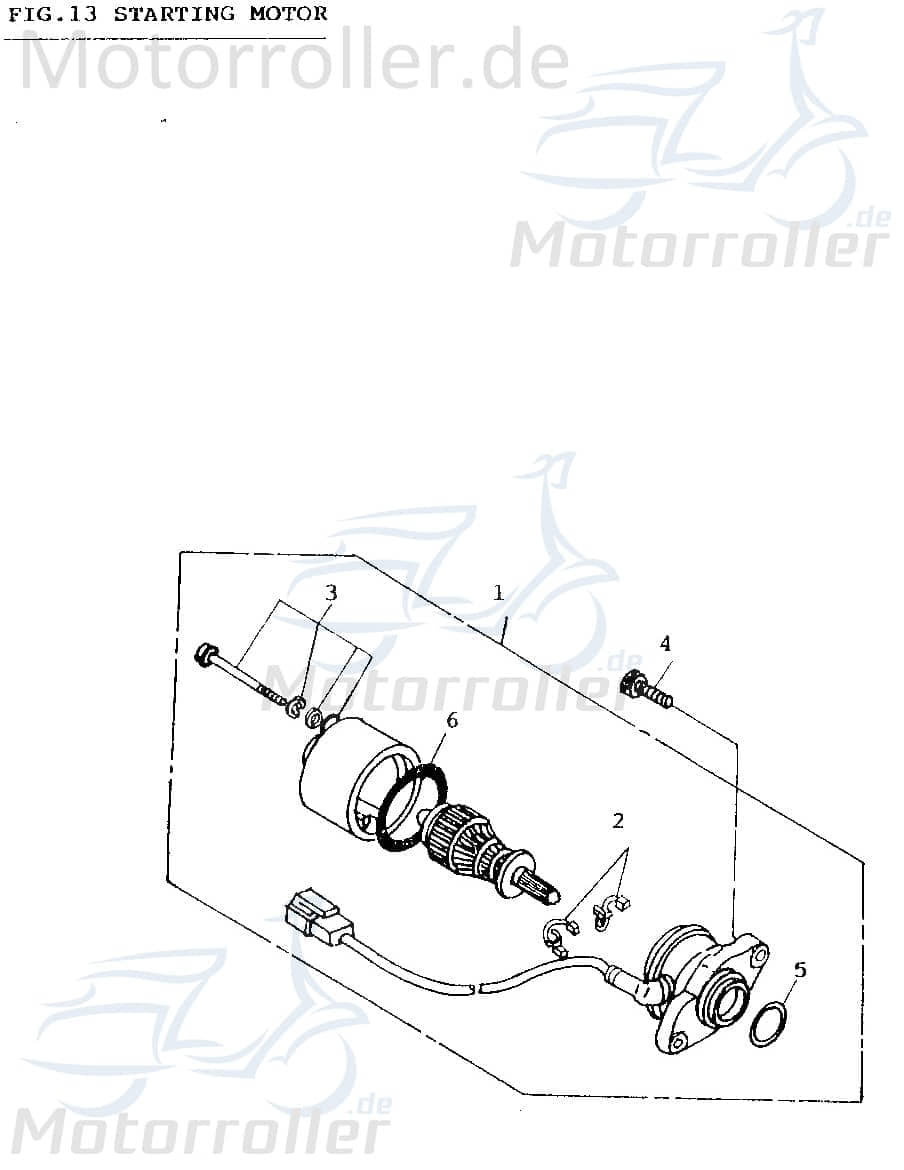 Adly Kohlebürsten-Satz ATV100 Super Sonic 50 50ccm 2Takt Motorroller.de Minarelli stehend Scooter Cat 50 Ersatzteil Service Inpektion Direktimport