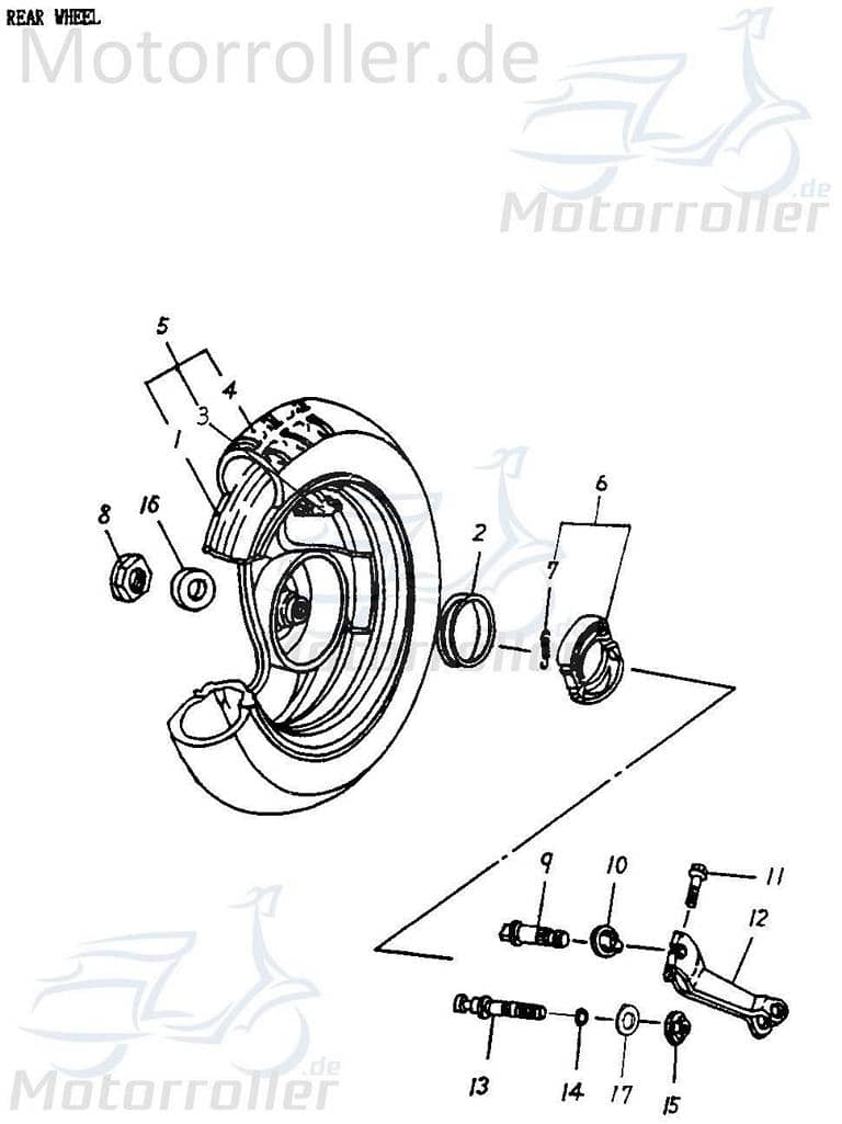 Adly Bremsfixierwelle hinten Blizzard GTA 50 / 50ccm 2Takt Motorroller.de Bremsbolzen 50ccm-2Takt Scooter Air Tec 1 50 LC Ersatzteil Service Inpektion
