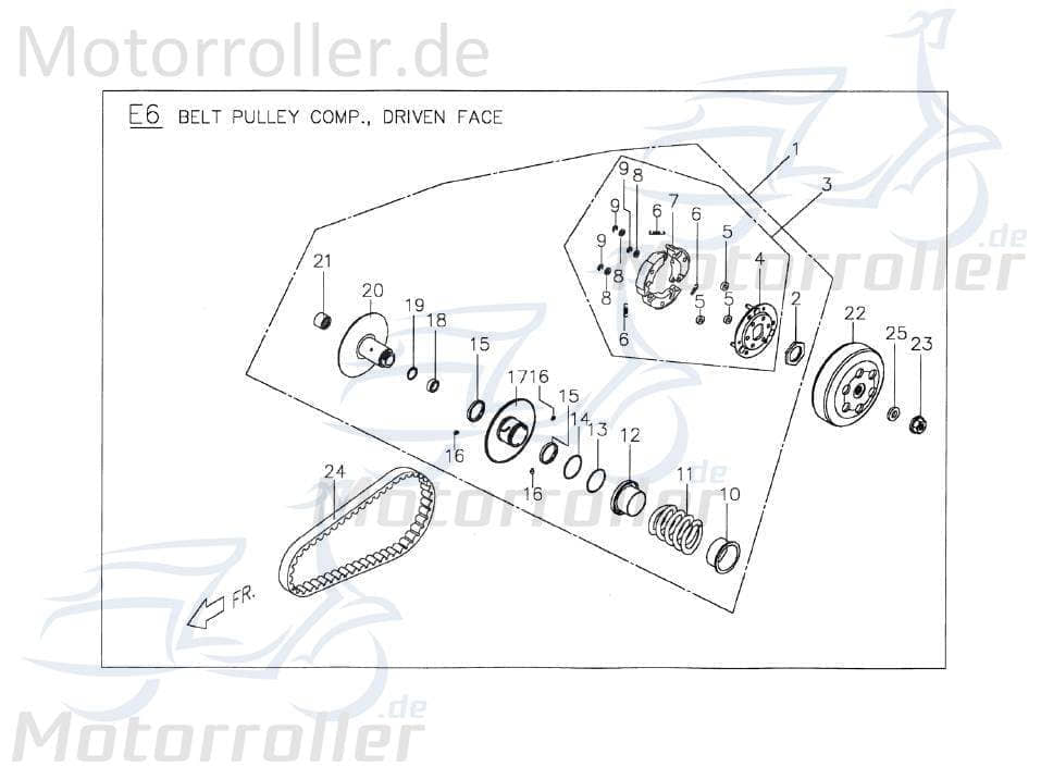 PGO Kupplung T-Rex hinten T-Rex 110 Wandler 110ccm 2Takt Motorroller.de Fliehkraftkupplung Fliehkraft-Kupplung Variomatik-Kupplung Nockenscheibe