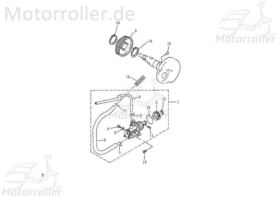 ECM Eppella Extra 50 S Kettenrad 50ccm 2Takt Zahnrad Motorroller.de Ritzel 50cc 2T Antriebsrad Ketten-Rad Zahn-Rad Ölpumpenantriebsrad