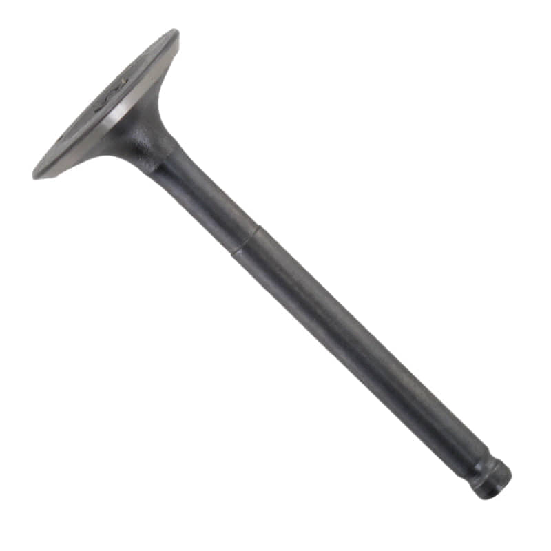 Auslassventil 24mm C1071300000