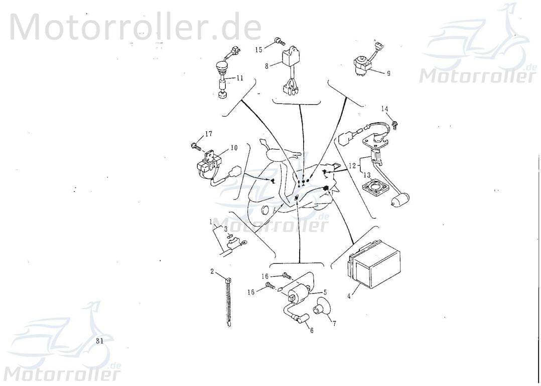 SMC Kabelbaum Rex Kabelsatz Stromverteiler Roller 50ccm 2Takt Motorroller.de Strom-Verteiler Kabel-Set Kabelbündel Kabel-SatzKabelbaumverteiler