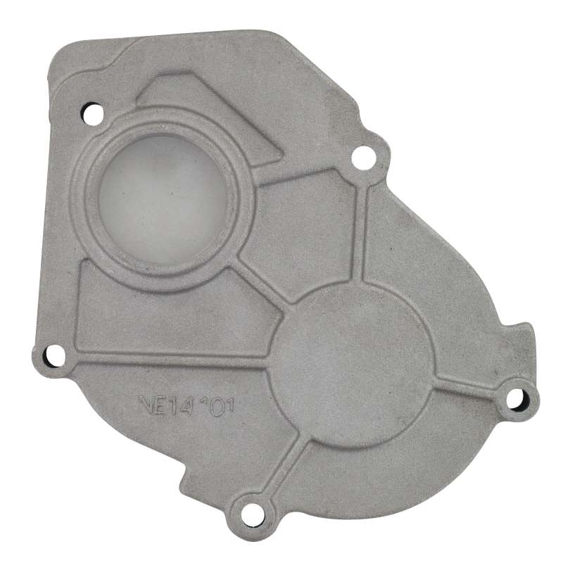 PGO Getriebeabdeckung Comet 50 Motordeckel 50ccm 2Takt Motorroller.de Kupplungsdeckel Getriebegehäuse Gehäusedeckel Variodeckel Variomatikdeckel