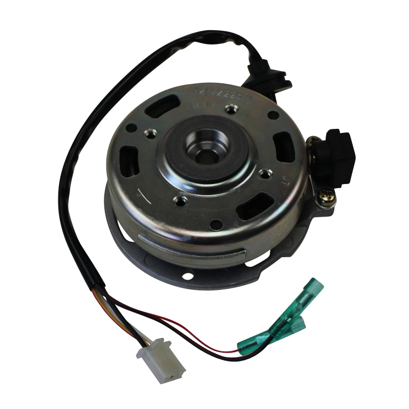 Rex 50 Scooter Mofa Stromgenerator Stator 50ccm 2Takt Motorroller.de Ankerplatte Zündplatte 1E40QMB YY50QT-28 50cc 2T Minarelli liegend