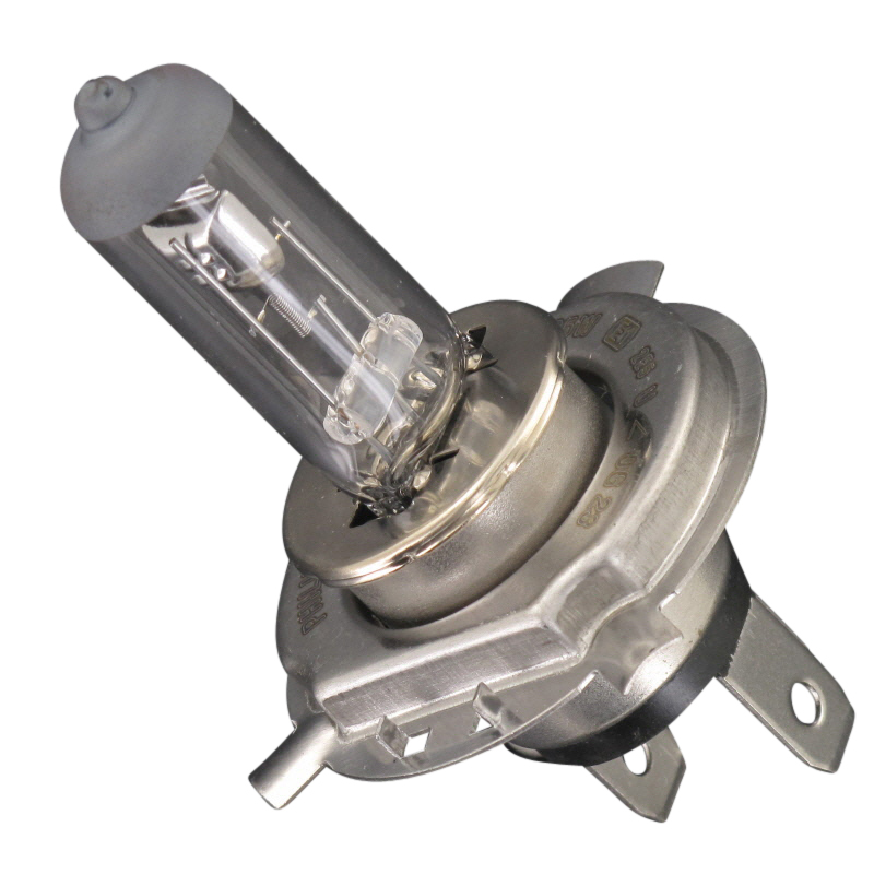 Glühlampe 730688 für Rex Supermoto-125-Dd-125Ccm-4Takt
