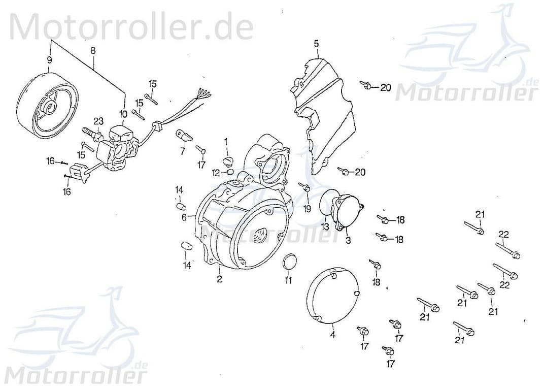 Lichtmaschine 50ccm 2Takt Rex Quad 150 Ankerplatte ATV 93030 Motorroller.de Stator Anker-Platte Stromerzeuger Strom-Generator Licht-Maschine 1E40QMB