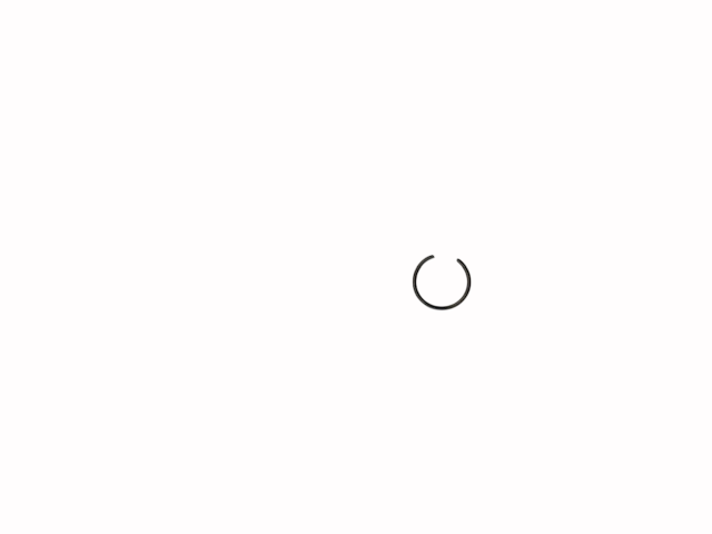 Expanderring Kolben C70671500000
