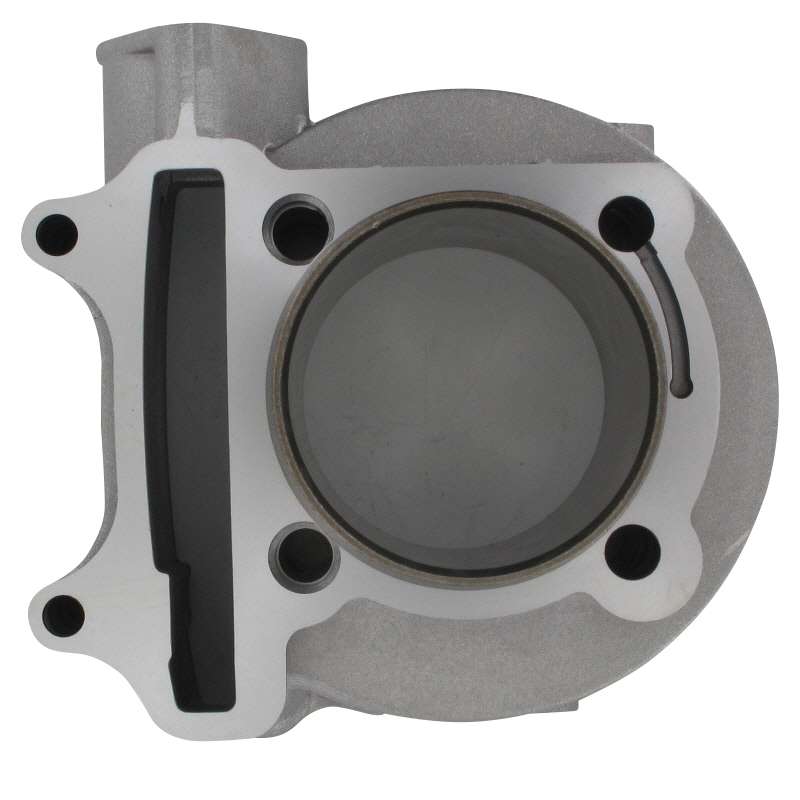 PGO Zylinder 57.5mm 50ccm-2Takt Bugrider 150 Motorzylinder C50640100007 Motorroller.de Grauguss Grauguss-Zylinder Gusszylinder Aluzylinder Buggy