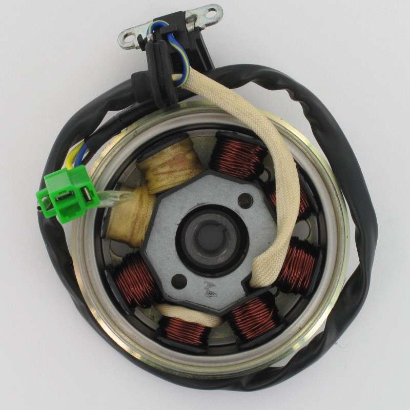 Lichtmaschine 8 Spulen mit Polrad außen 111000-139QMA-A-0000 Motorroller.de pick up 50ccm 4Takt Stator Ankerplatte Anker-Platte Stromerzeuger Scooter