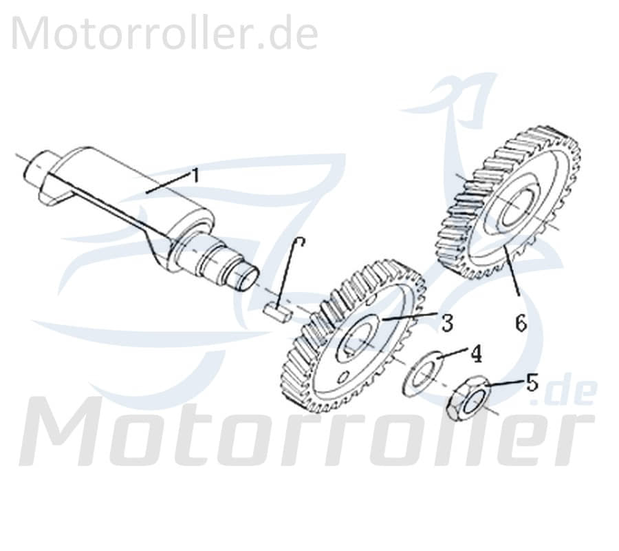 Kontermutter Ausgleichswelle Kreidler DICE SM 50 LC 733110 Motorroller.de Sechskantmutter Flanschmutter Motorrad Supermoto 50 DD Ersatzteil Service