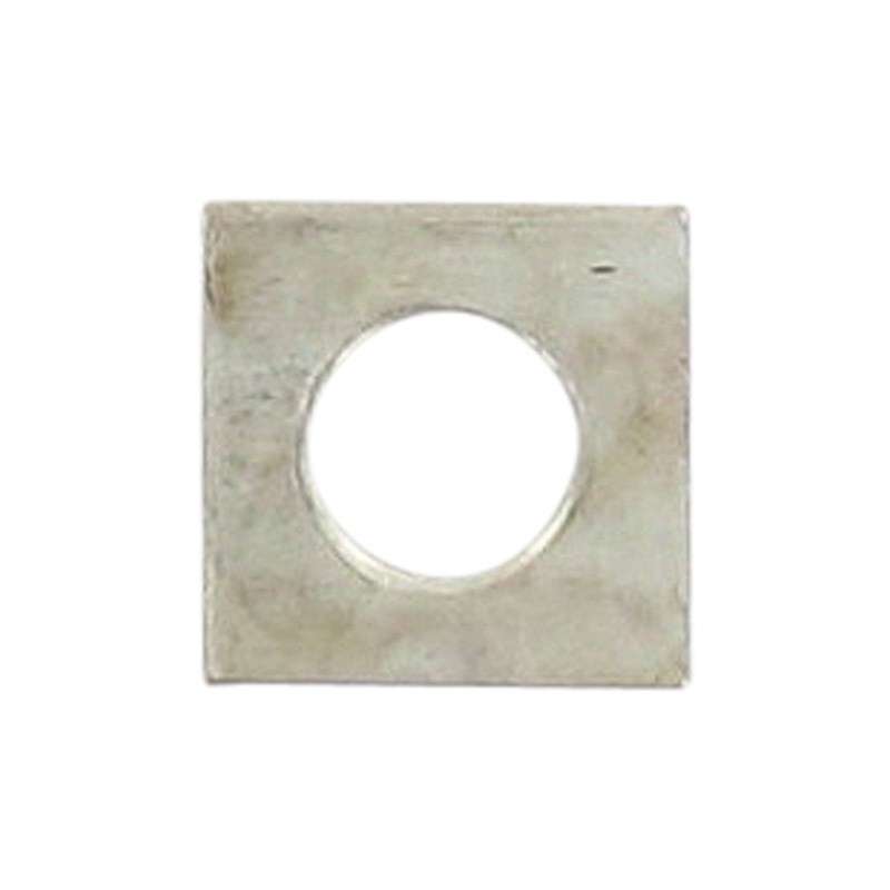 Rex 50 Scooter Mutter M6 Bundmutter 50ccm 4Takt 8010306001 Motorroller.de Sechskantmutter Flanschmutter Sechskant-Mutter Flansch-Mutter Bund-Mutter