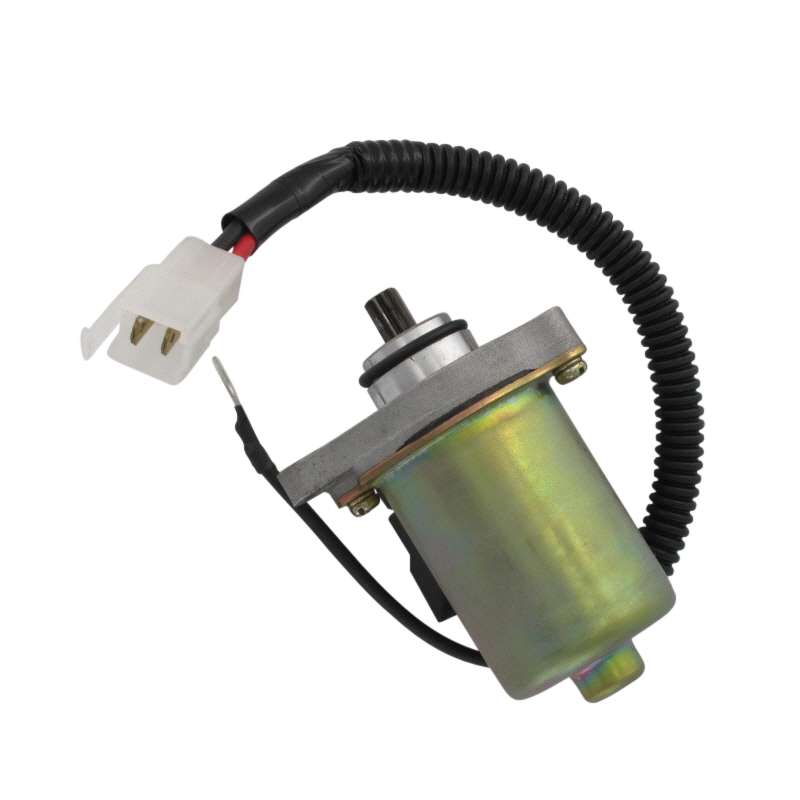 Anlasser komplett Anlasser-Motor E1241001000