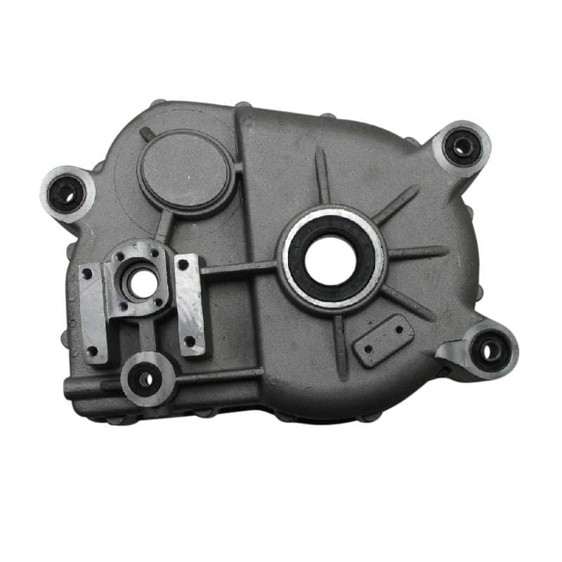 Getriebegehäuse Tongjian Strassenbuggy 250 8.030.040 Motorroller.de Motorgehäuse Eppella ECM Hammerhead Kasea TBM Wangye Buggy 250