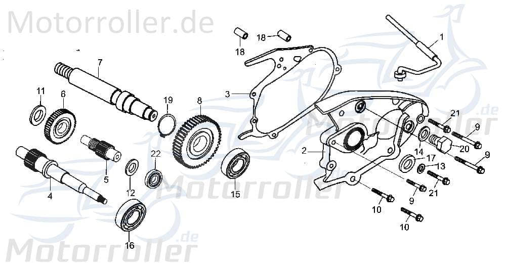 Entlüftungsrohr Tongjian Strassenbuggy 250 I+II 250ccm 4Takt Motorroller.de 250ccm-4Takt Ersatzteil Service Inpektion Direktimport
