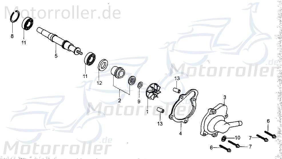 Gehäuse Kühlwasserpumpe Kasea BUGGY 250 Umbauung 172MM-100 Motorroller.de Hülle 250ccm-4Takt Straßenbuggy 250 Ersatzteil Service Inpektion