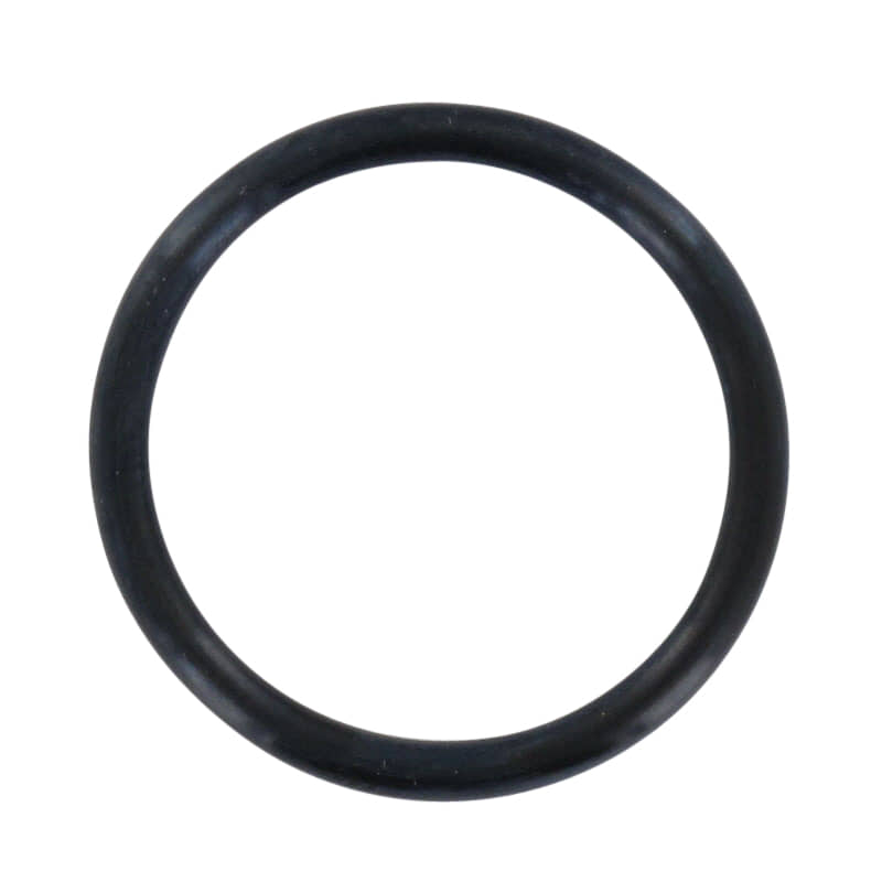 O-Ring Vergaser Gummidichtung D19KT-003-1500