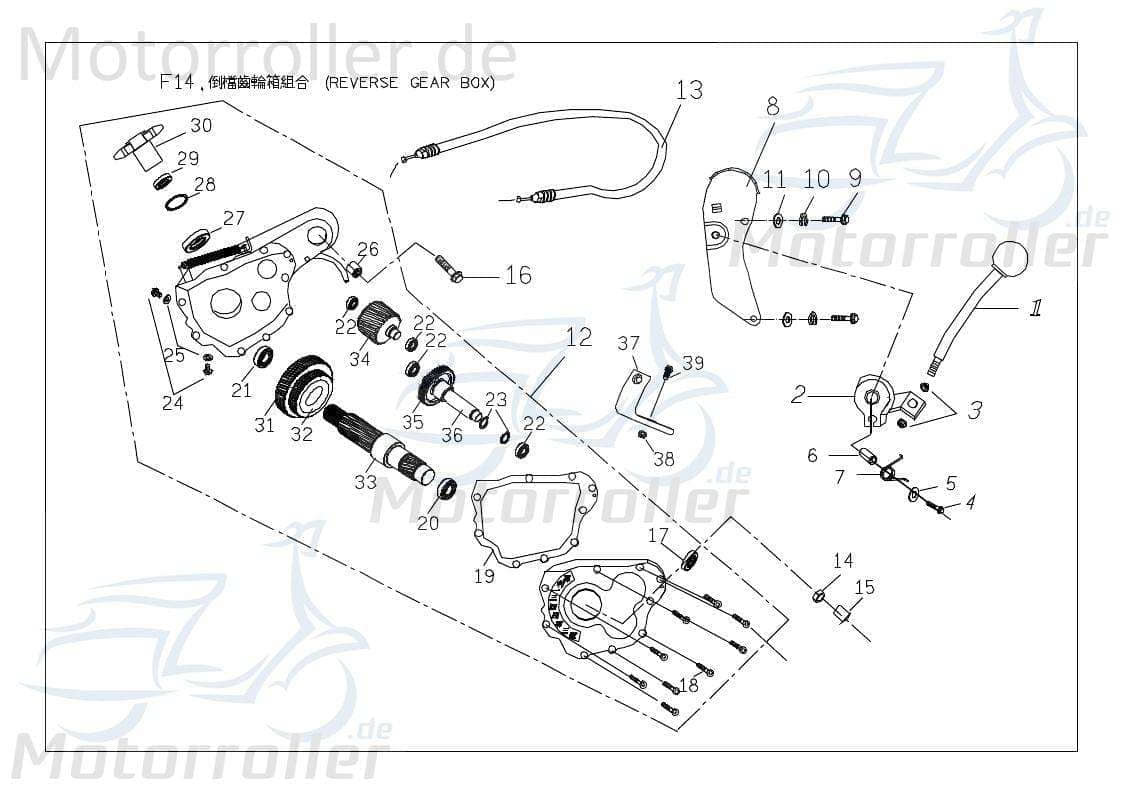 PGO Getrieberad 18 Zähne Mittiger Rückwärtsgang 150ccm 4Takt Motorroller.de Zwischenrad Zahnrad Zahn-Rad Getriebe-Rad Zwischen-Rad Getriebezahnrad ATV