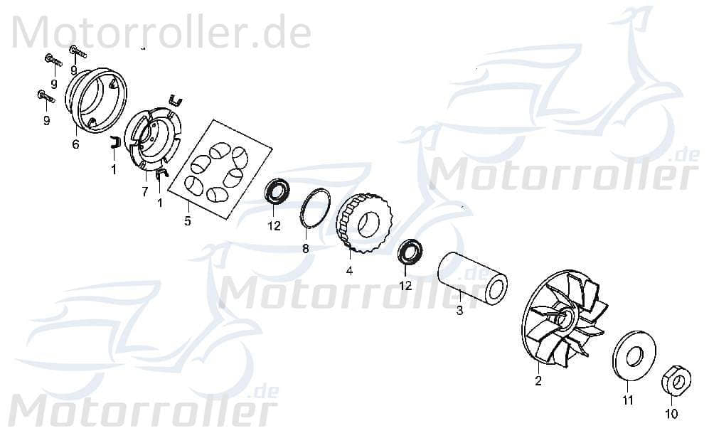 Eppella Strassenbuggy 250 I+II Fliehkraftrolle 250ccm 4Takt YYSLL2501008 Motorroller.de Variomatik-Gewicht Variorolle Variogewicht Vario-Gewicht