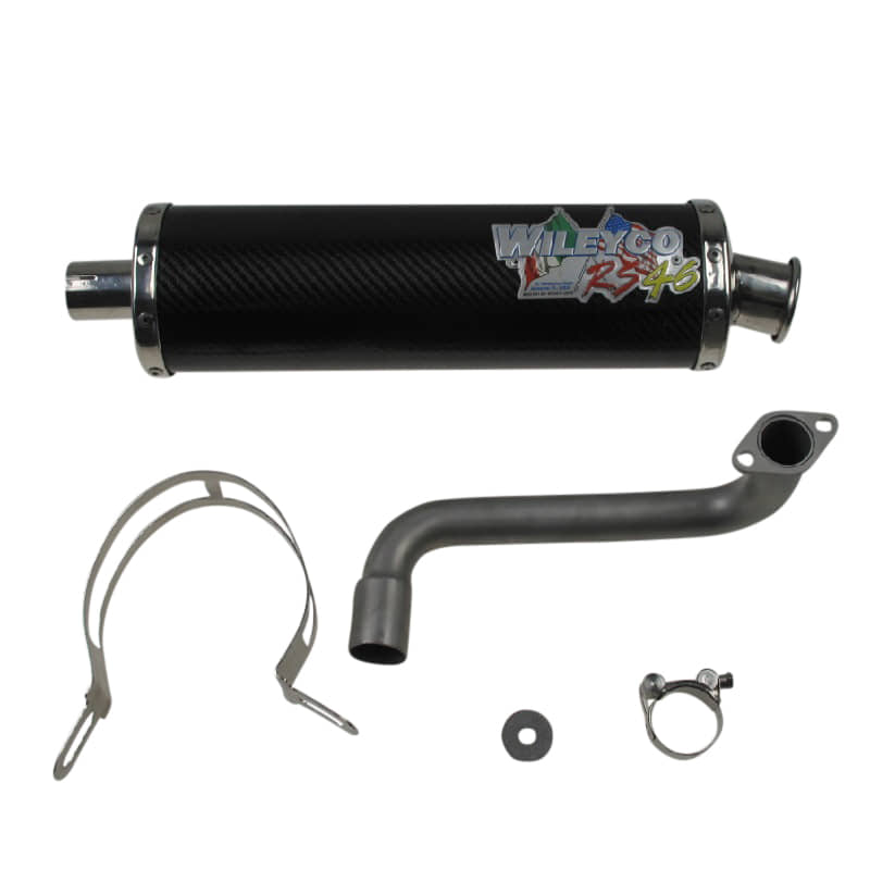 PGO Bugrider 150 Auspuffanlage Carbon 150ccm 4Takt WRS46-C Motorroller.de Buggy Ersatzteil Service Inpektion Direktimport