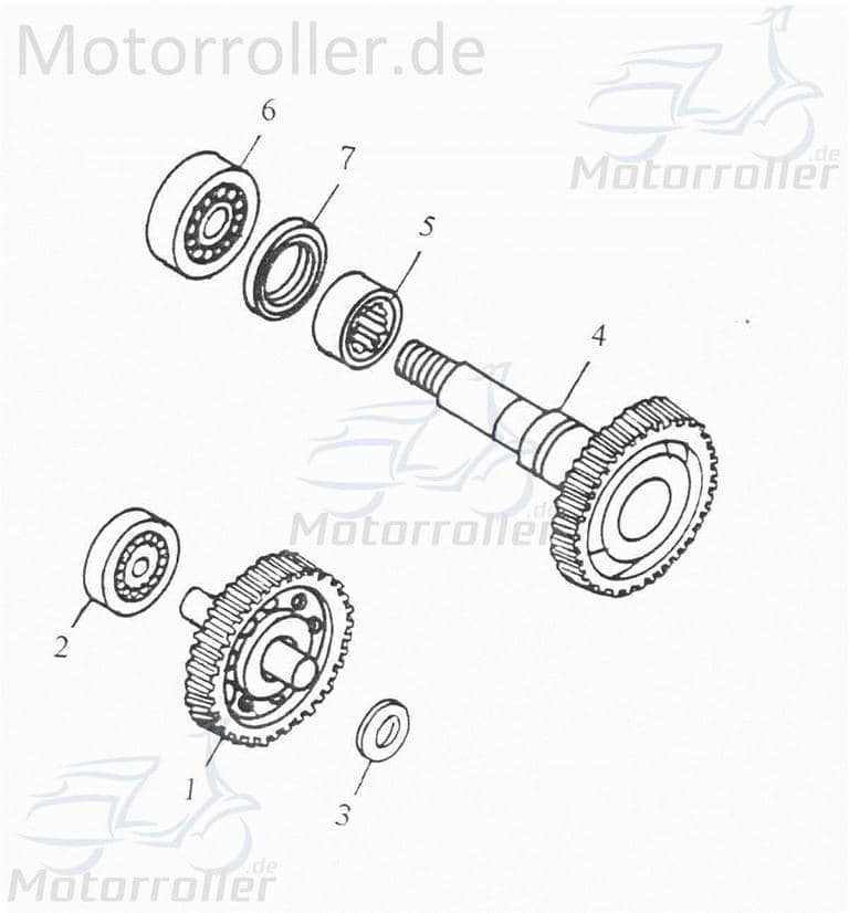 Adly Nadellager Scoody 50 2 Rollenlager Roller 50ccm 2Takt Motorroller.de Rollen-Lager Walzenlager Kolbenbolzenlager Nadel-Lager Minarelli liegend