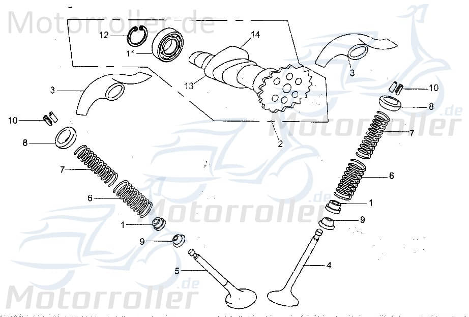 Ventilfeder innen Springfeder 172MM-022003