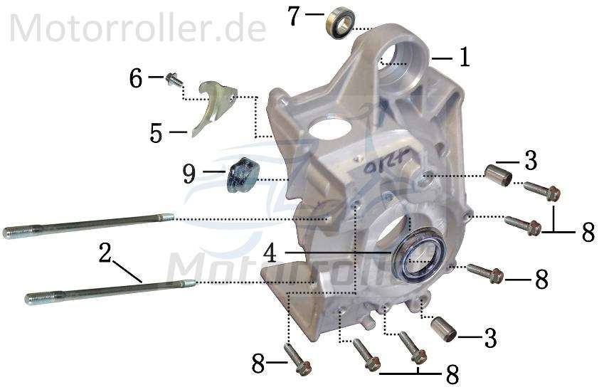Kurbelgehäuse rechts AGM Fighter 50 One Roller 50ccm 2Takt Motorroller.de Motorgehäuse Motorblock 1E40QMB Scooter Fighter 50 Sport Ersatzteil Service