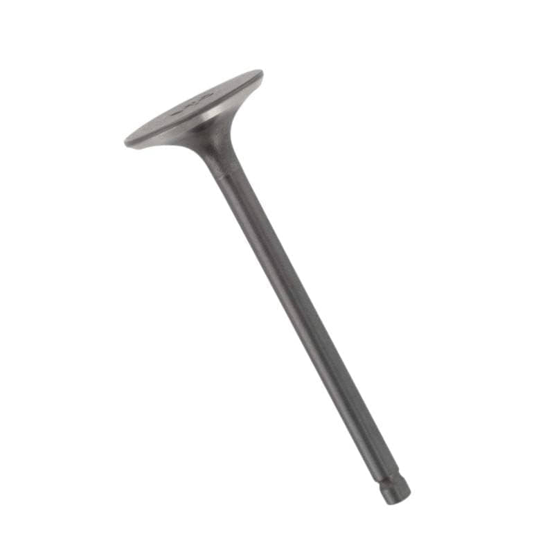 Kreidler Supermoto 250 DD Auslassventil 250ccm 4Takt 730962 Motorroller.de Motorventil Abgasventil Motor-Ventil Auslass-Ventil Abgas-Ventil Motorrad