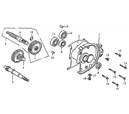Getriebeingangswelle Rex RS125 Welle-Getriebe 80201 Motorroller.de Getriebewelle Antriebs-Achse Getriebeeingang Welle-Geriebeeingang Scooter