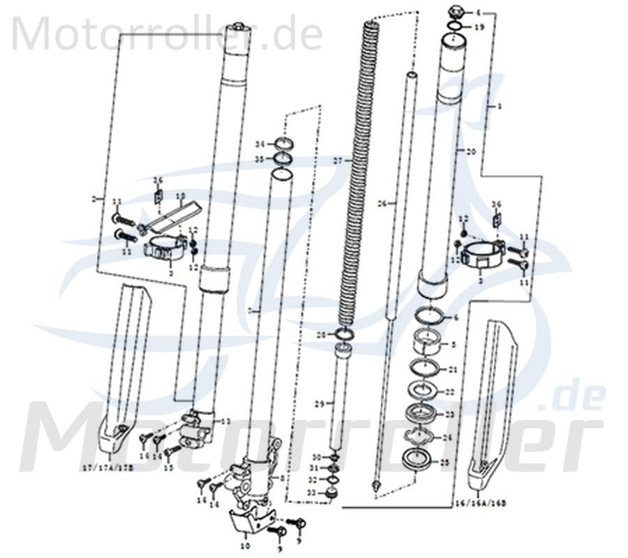 Schutz für die Vorderradgabel Dice SM/GS 52453QLY2230