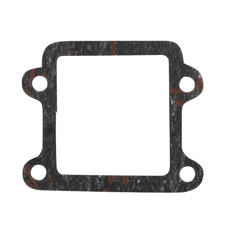 Adly Membrandichtung Einlasslamelle steh.Zyl. Minarelli stehend Roller 50ccm 2Takt Motorroller.de Scooter Scoody 50 2 Rapido 50 Ersatzteil Service Inp