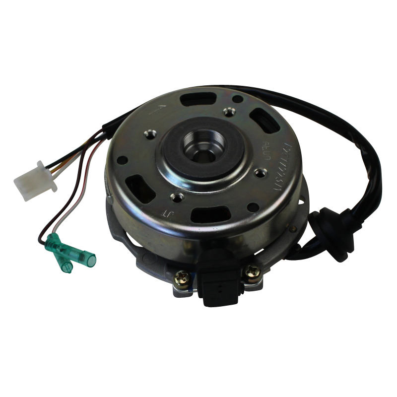 Rex 50 Scooter Mofa Stromgenerator Stator 50ccm 2Takt Motorroller.de Ankerplatte Zündplatte 1E40QMB YY50QT-28 50cc 2T Minarelli liegend