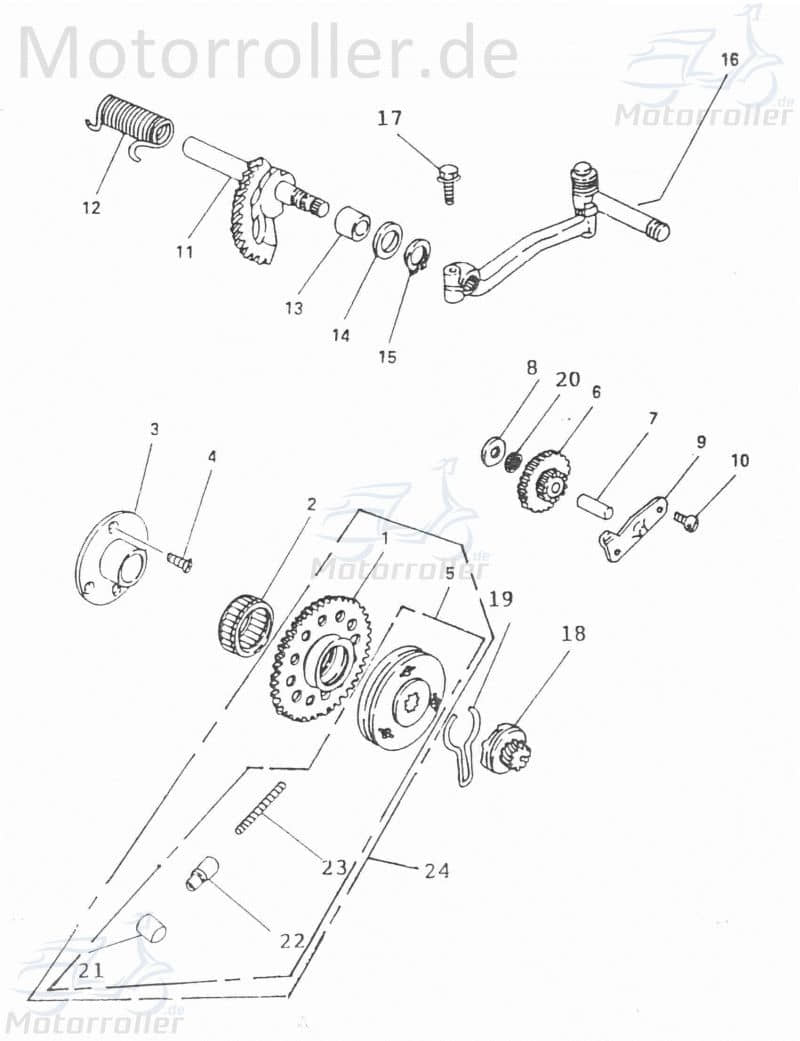 Adly Anlasserfreilauf Scoody 50 2 Starterkupplung 50ccm 2Takt Motorroller.de Anlasser-Freilauf Elektrostartfreilauf E-Starterfreilauf Starter-Kupplung
