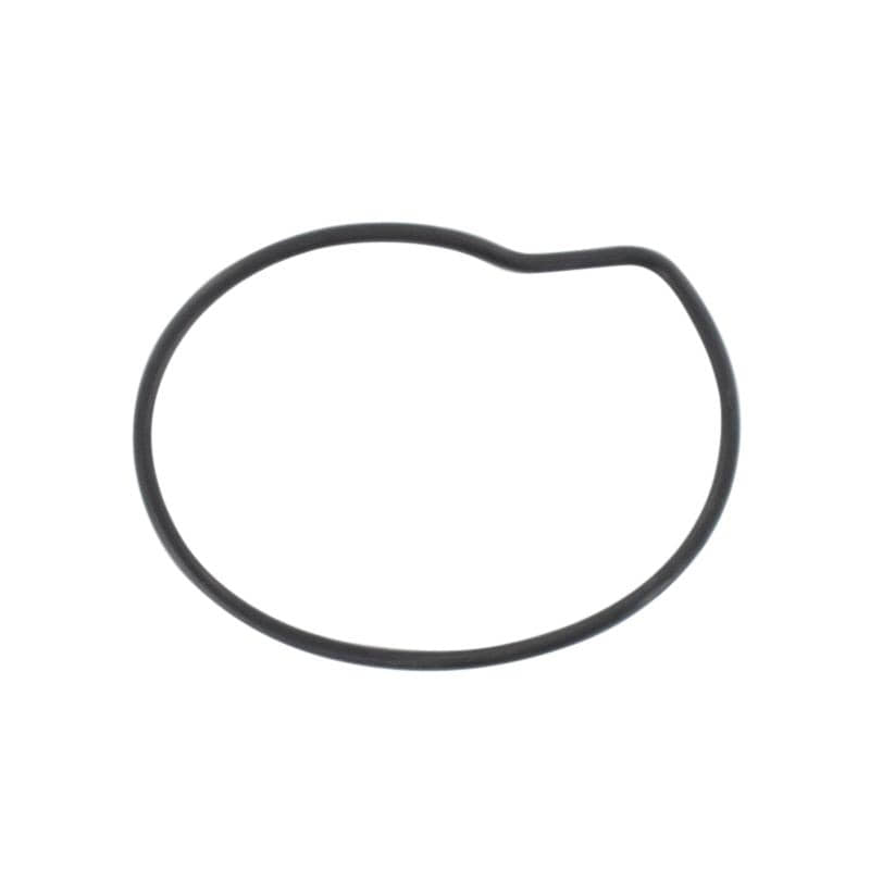 O-Ring Dichtring Gummiring 13051-CEE-00