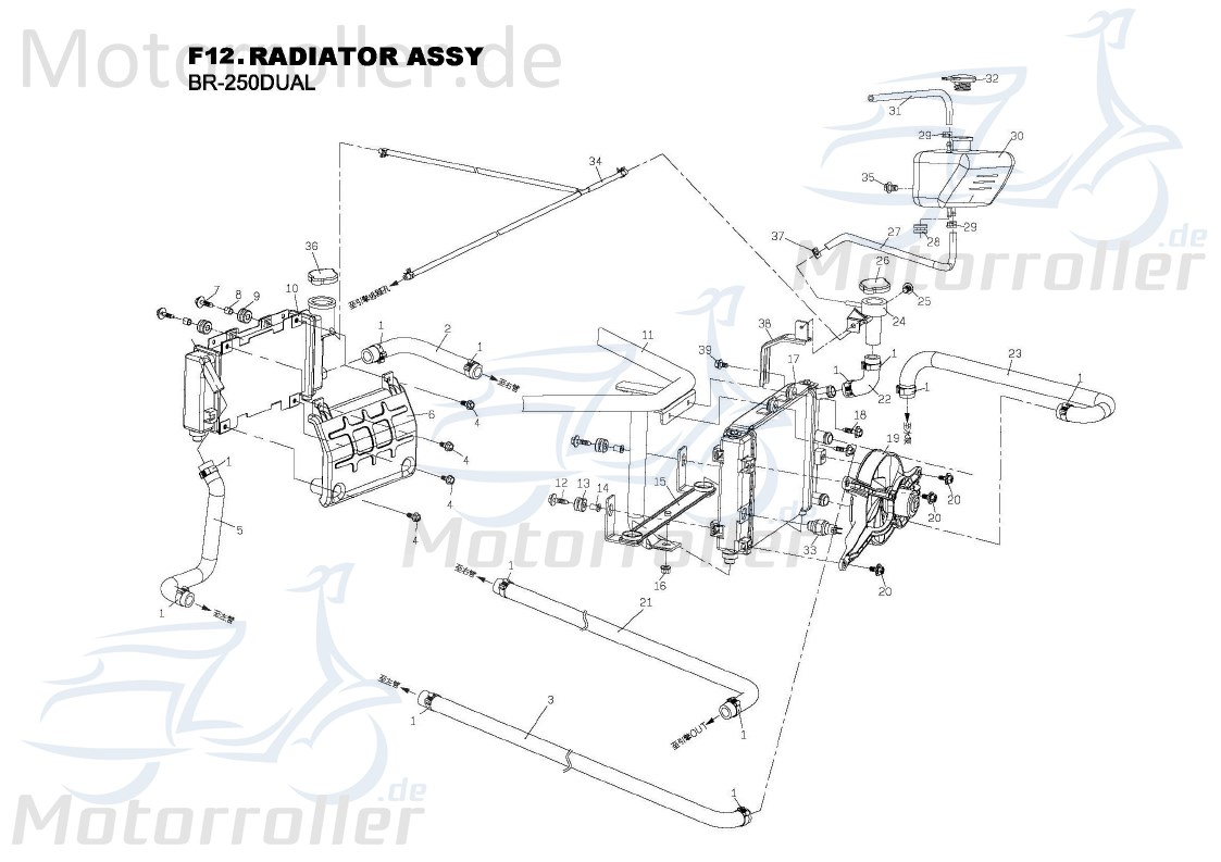 Wasserschlauch Rohr B75013510000