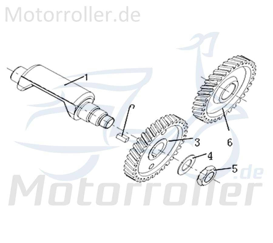 CPI SX 50 Supercross Antriebsrad Ausgleichswelle Starter 1E40MB.08-02 Motorroller.de Ritzel Antriebsritzel Fußstarter 50ccm-2Takt Motorrad