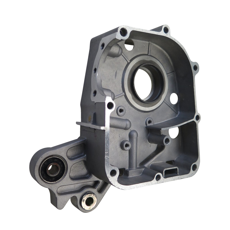 Benzhou Yiying Stranger 50 Motordeckel rechts E0101 Motorroller.de Motorabdeckung Scooter Ersatzteil Service Inpektion PGO