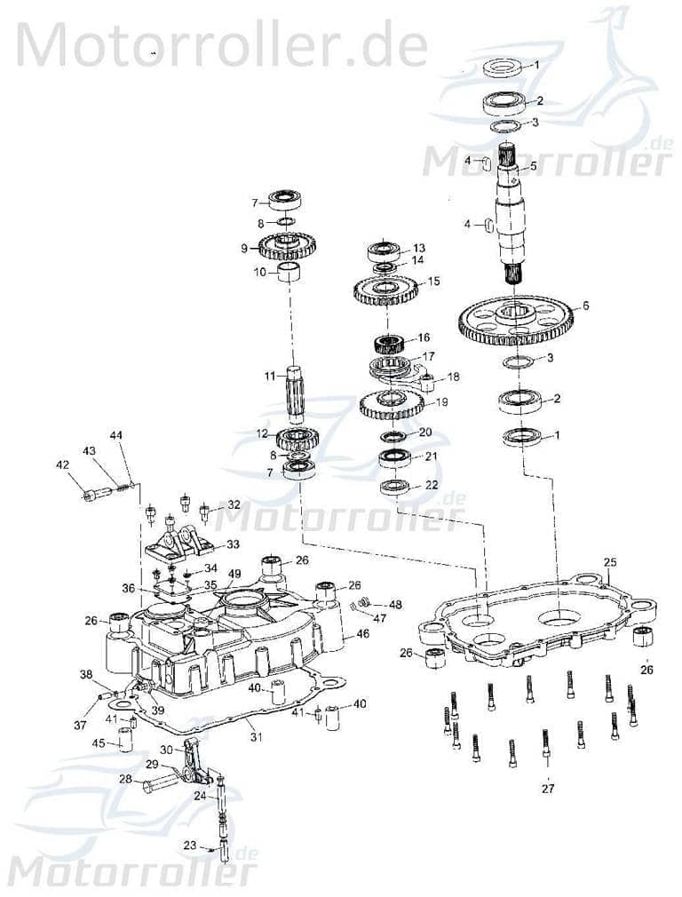 Antriebsritzel 32 Zähne Tongjian Strassenbuggy 250 7.090.015 Motorroller.de Gangrad Antriebsrad Eppella ECM Hammerhead Kasea TBM Wangye Buggy 250