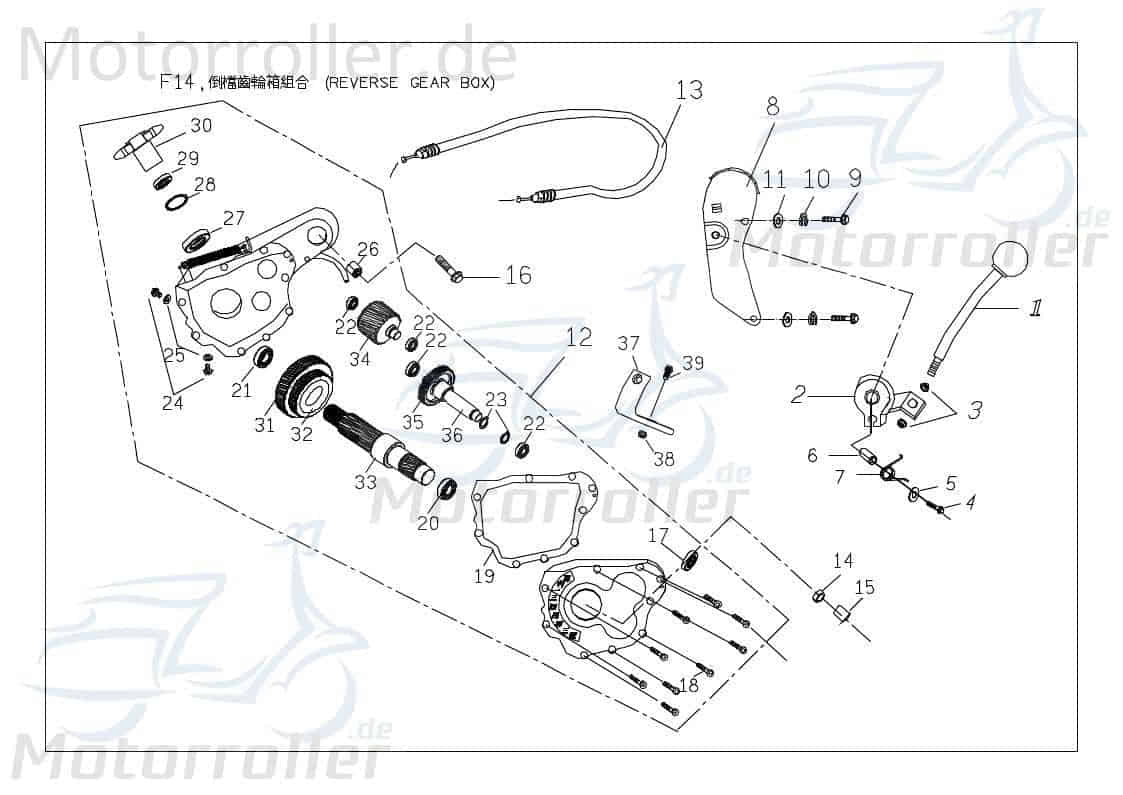 PGO Getrieberad 35 Zähne X-RIDER 150 Zwischenrad 150ccm 4Takt Motorroller.de Zahnrad Zahn-Rad Getriebe-Rad Zwischen-Rad Getriebezahnrad Ritzel Quad