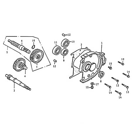 Rex SC 125 Getriebeausgangswelle 147mm 125ccm 4Takt 80210 Motorroller.de Endantrieb Zwischenwelle Antriebs-Welle Getriebewelle Antriebs-Achse Scooter